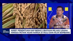 Harga Beras Meroket? Rahasia Bapanas Terungkap!