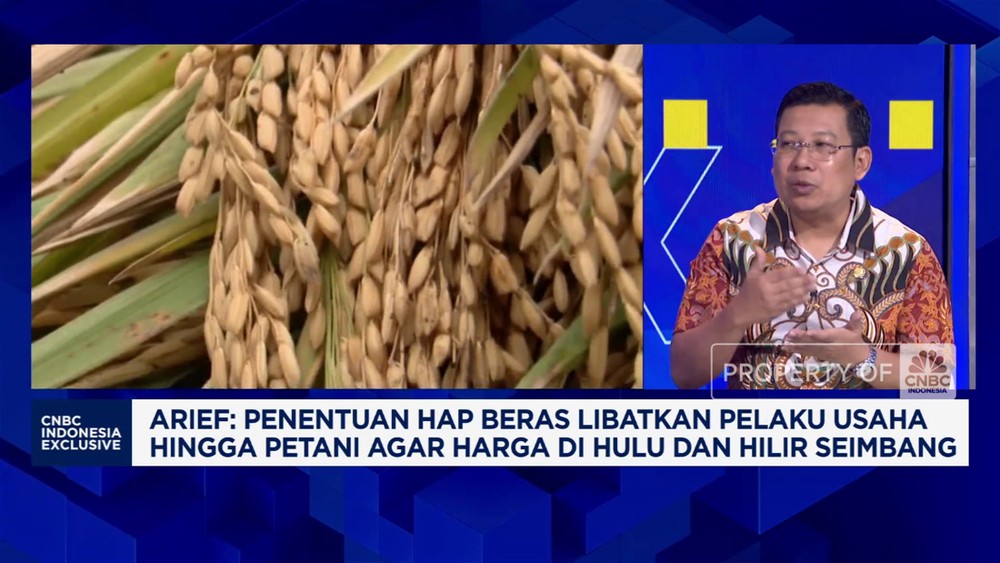 Harga Beras Meroket? Rahasia Bapanas Terungkap!