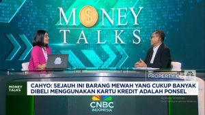 PPN Naik, Bisnis Kartu Kredit Panik? Ini Strategi Jitu Mereka!