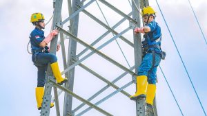 Investor Jepang Incar 25% Saham Raksasa Energi Terbarukan RI!