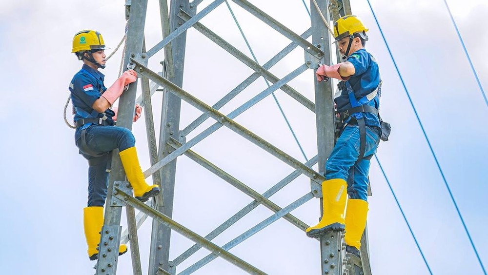 Investor Jepang Incar 25% Saham Raksasa Energi Terbarukan RI!