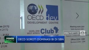 BI Kuasai SBN? OECD Buka Suara!