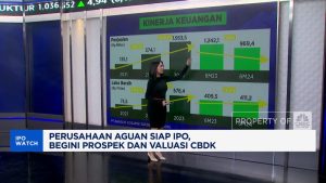 Aguan IPO, CBDK Bidik Triliunan! Untung Besar Menanti?