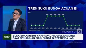 Kenaikan PPN 12% Ancam Kredit di 2025?