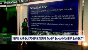 Rebound Saham CPO? Intip Bocorannya!
