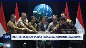 Bursa Karbon Internasional Tembus 40 Ribu Ton!