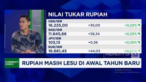 Rupiah Loyo di Awal Tahun, Ada Apa?