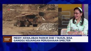 Parkir DHE 1 Tahun: Bencana Ekonomi di Depan Mata?