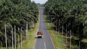 Laba AALI Naik Tipis, Kok Bisa?
