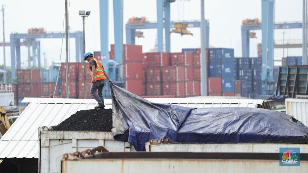 6 Bos Tambang Batu Bara RI Terkaya: Kekayaan Fantastisnya Bikin Melongo!