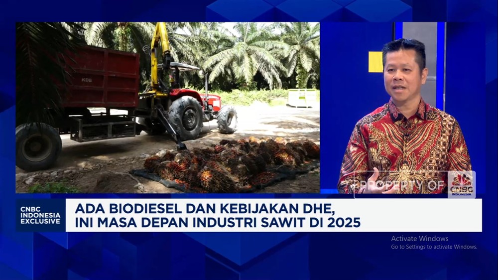 B40: Ancaman atau Berkah bagi Raja Sawit?