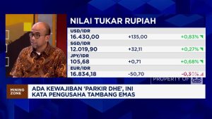 Parkir DHE 100%? Bos Tambang Emas Ini Buka Suara!