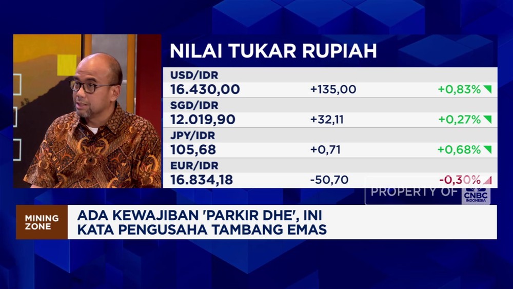 Parkir DHE 100%? Bos Tambang Emas Ini Buka Suara!