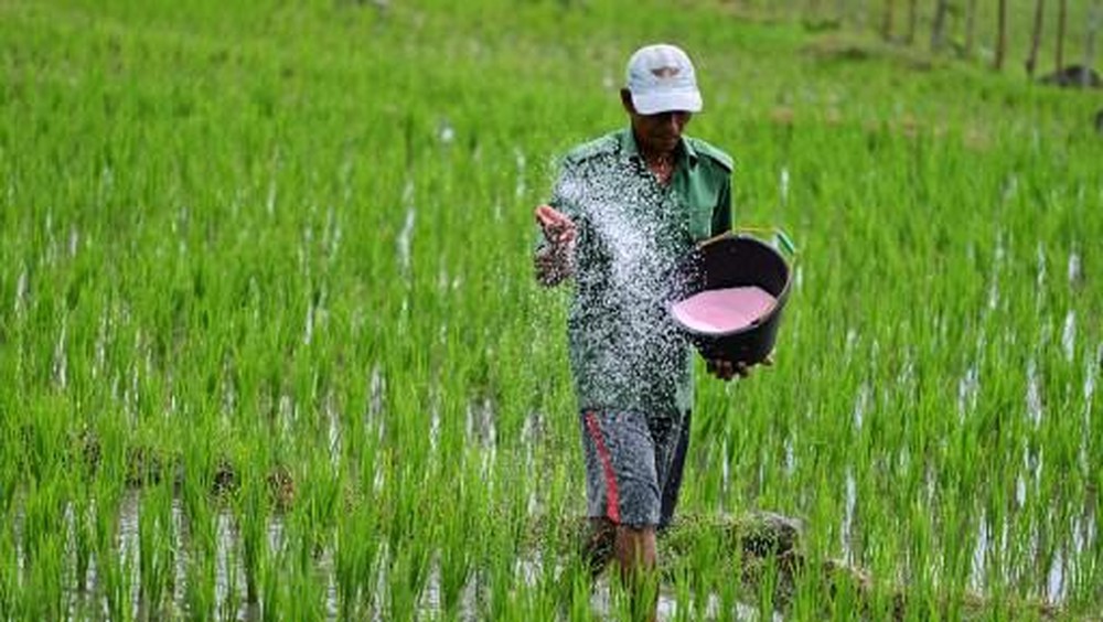 Petani Temukan Harta Karun! 16 Kg Emas!