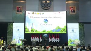 Bursa Karbon RI Sepi? Menteri Ungkap Rahasianya!