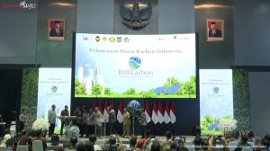 Indonesia Incar Tahta Raja Karbon Global: Tantangannya Berat!