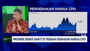 Sawit: Untung Besar Menanti di 2025?