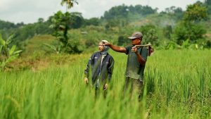 KUR BRI Tembus Rp 27,72 Triliun, UMKM Makin Berjaya!