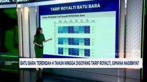 Harga Batu Bara Jeblok, Royalti Naik: Nasib Industri Terancam?