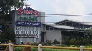 Cimory Bagi-Bagi Untung Rp 1,19 T! Catat Tanggalnya!