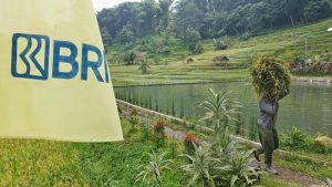 BRI Borong 2 Penghargaan Internasional! Rahasianya?