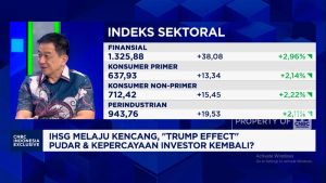 BPI Danantara: Bom Waktu atau Mesin Cetak Uang? Pasar Modal Menanti!