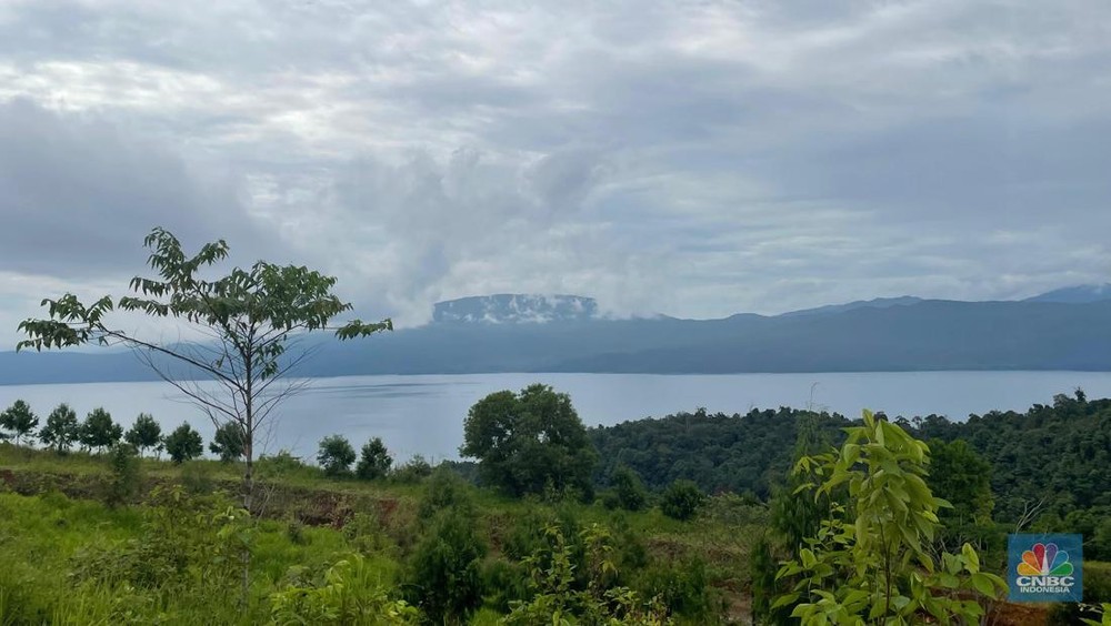 Rahasia Vale: Tambang Untung, Lingkungan Tetap Terjaga!