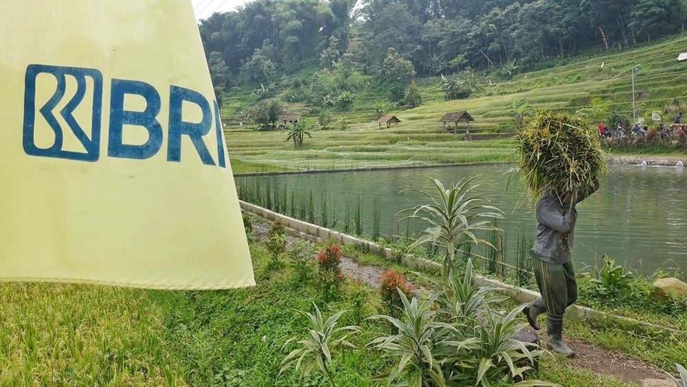 BRI Kucurkan Dana KUR Rp83,88 Triliun, Sektor Ini Jadi Primadona!