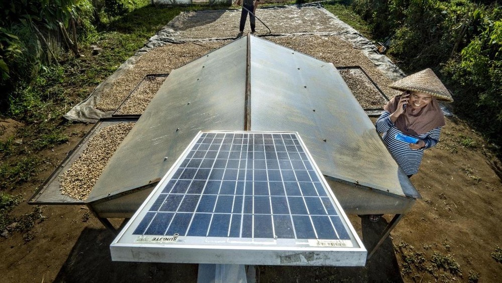 Raih Prestasi! BRI Cetak Pendapatan Berkelanjutan Fantastis!