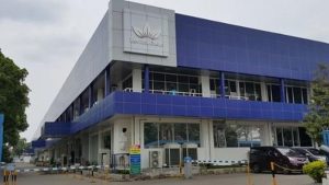 Mimpi Ubi Talas Ubah Nasib Raja Rokok Bentoel?
