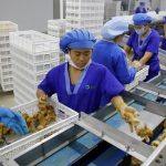 Ekonomi China 2026: Melesat Atau Melambat? Inilah Prediksinya!