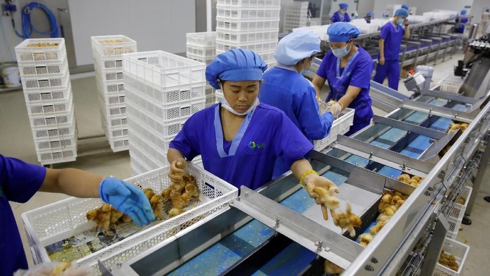 Ekonomi China 2026: Melesat Atau Melambat? Inilah Prediksinya!