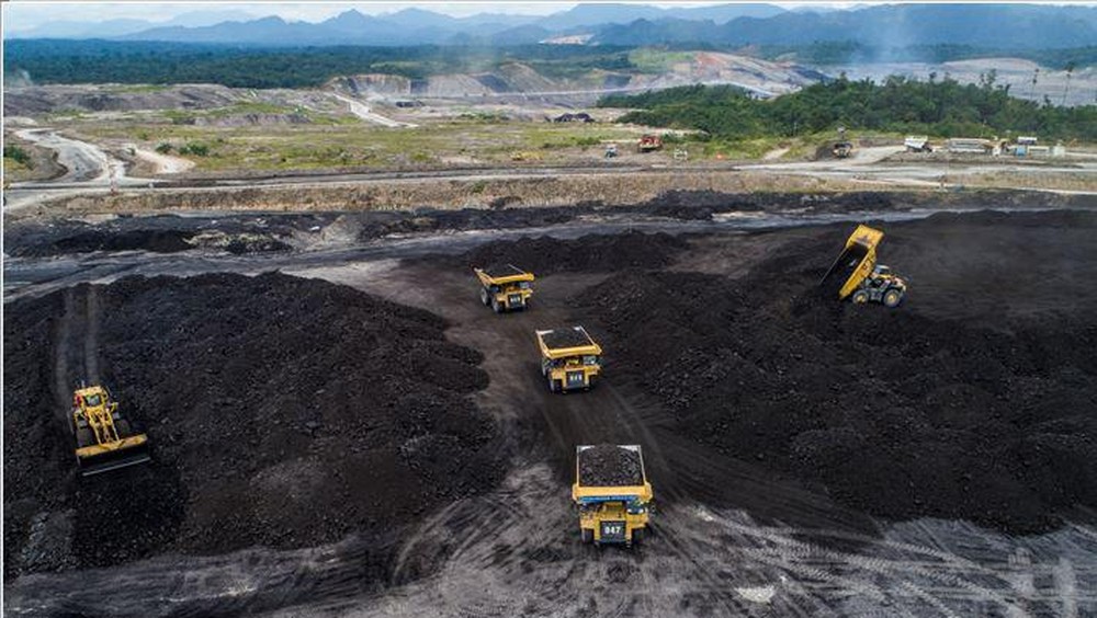 Laba AADI Ambles 44%! Ini Jurus Jitu Hadapi Badai Batu Bara 2025
