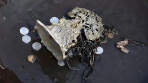 Bikin Melongo! 30.000 Ton Emas Banten, Kekayaan yang Raib?