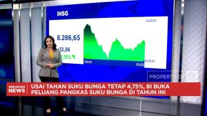 Terkuak! Kepala BKN Bongkar Rahasia Pergerakan Pasar Modal!