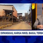 Geger! Kuota Nikel Dipangkas 30%, Smelter RI Terancam Impor?