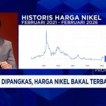 Nikel RI Dipangkas 30%! Harga Meroket Atau Smelter Tercekik?