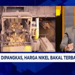Smelter RI di Ujung Tanduk: Impor Nikel atau Produksi Anjlok?