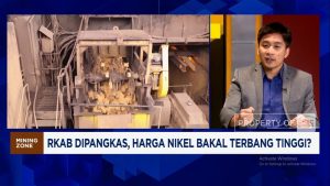 Smelter RI di Ujung Tanduk: Impor Nikel atau Produksi Anjlok?