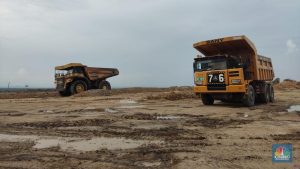 BUMI Melejit! Laba US$81 Juta Meski Harga Batu Bara Anjlok?