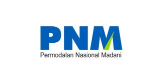 Gebrak Ekonomi! PNM Ditarik Kemenkeu, BRI Beri Sinyal Ini