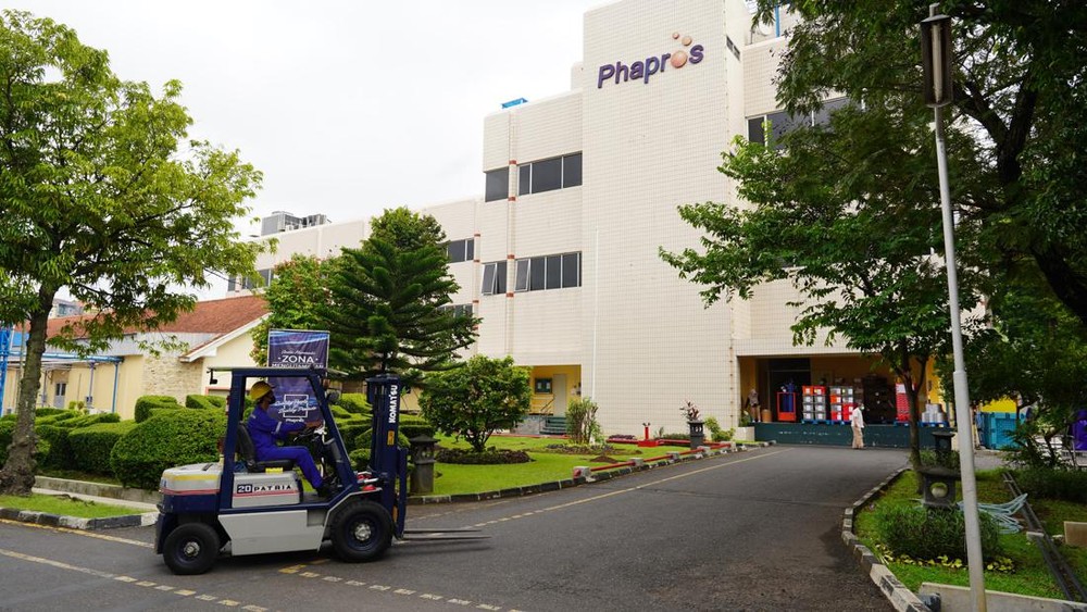 PEHA Melejit 109%! Terkuak Strategi Jitu di Balik Cuan Fantastis