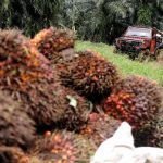 Strategi Bakrie UNSP Bikin Laba Melonjak 86%: Bukan Sulap, Ini Rahasianya!