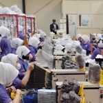 Ekonomi RI 'Tahan Banting'! Bisnis Perkasa di Q1 2026, Ini Resepnya