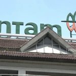 Antam Ambil Peran Kunci Proyek Baterai EV Raksasa