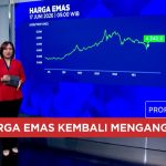 Emas Terbang Tinggi Rupiah Anjlok Ada Apa