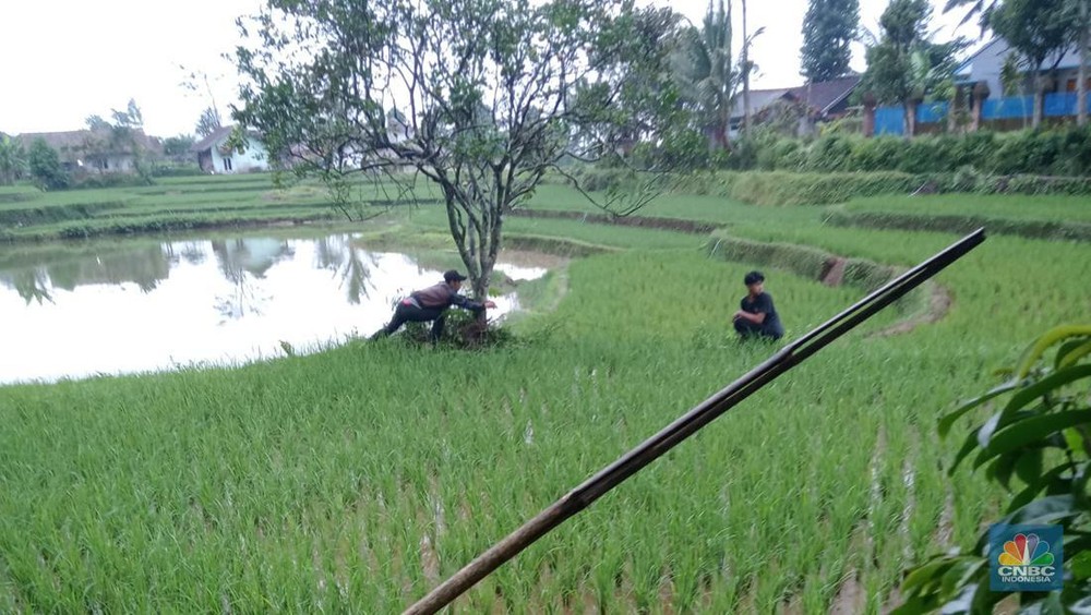 Rahasia Gelap Kekayaan Bupati Cianjur Terbongkar 1 Rahasia Gelap Kekayaan Bupati Cianjur Terbongkar