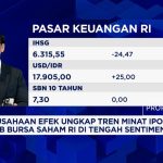 Terungkap Prospek Pasar RI di Mata Dunia