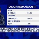 Terungkap Pilihan Dana Jumbo di Tengah Badai