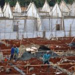 Rahasia BTN Jadi Raja Rumah Subsidi Terungkap
